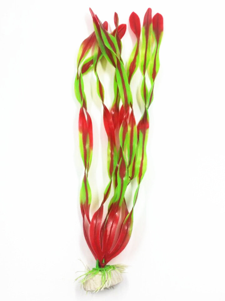 SpiralGrass - Alghe a Nastro Verde Neon