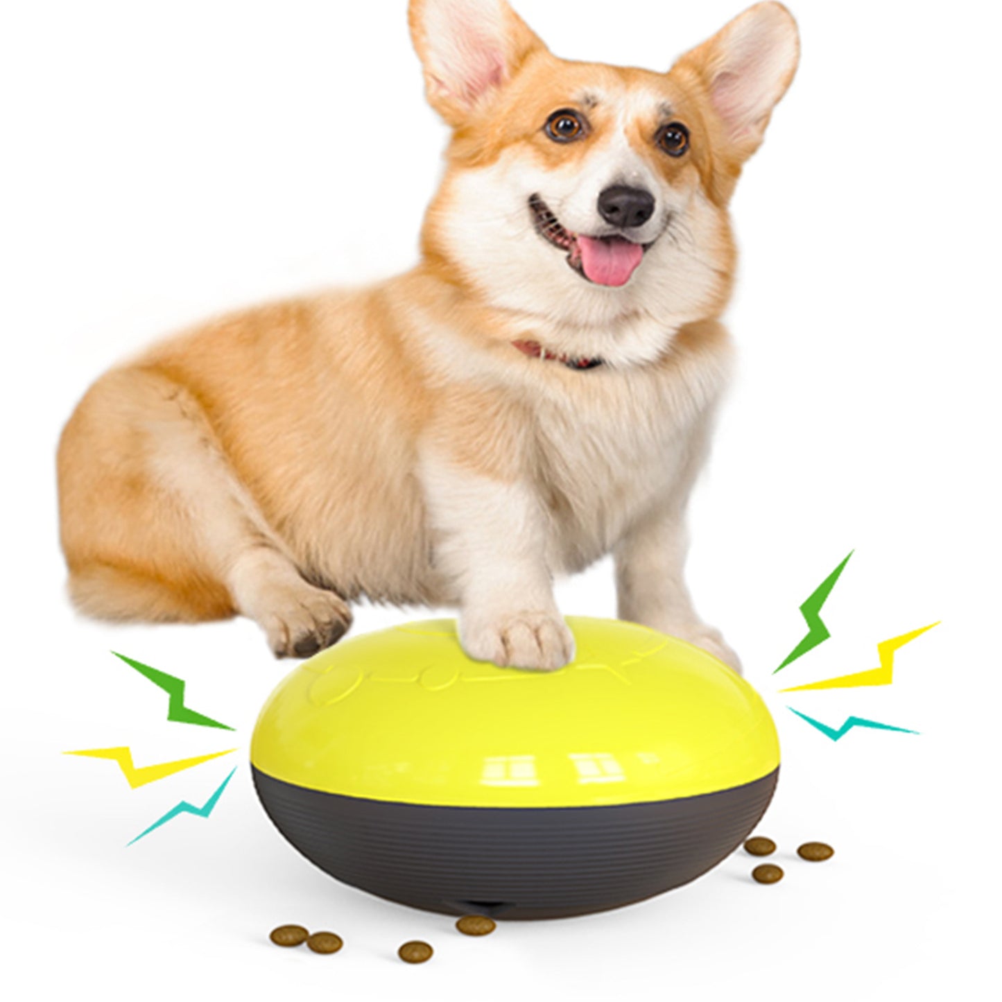 SmartDisk - Il Distributore di Crocchette Interattivo