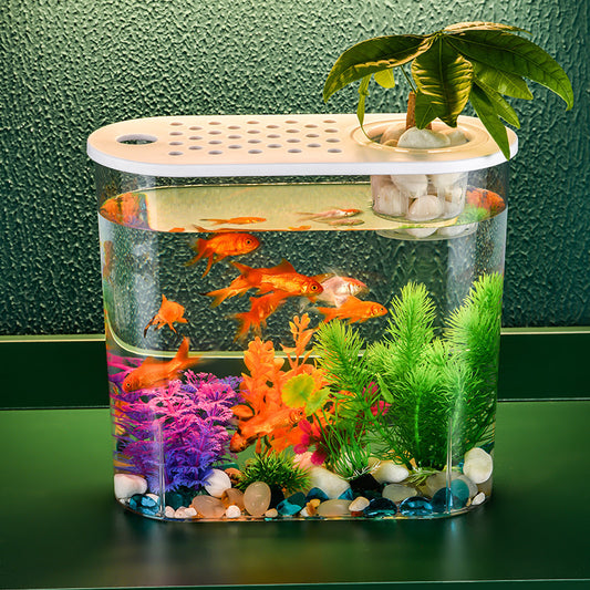 HydroSky - Nano Acquario Idroponico