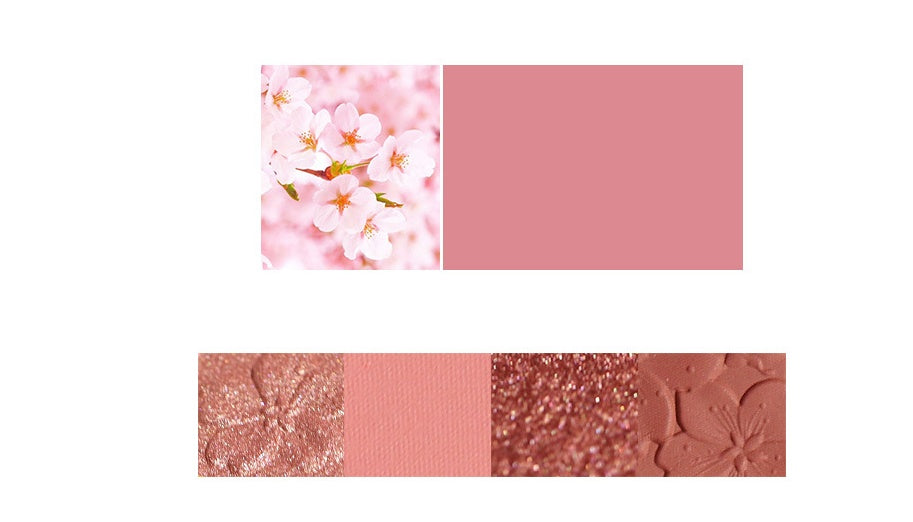 Palette NOVO