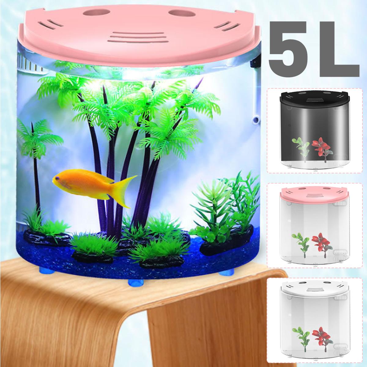 Acquario SakuraCube