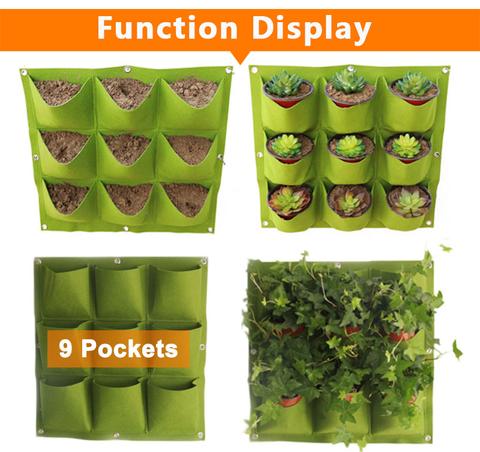 Vertical Garden - Sistema di Semina Professionale