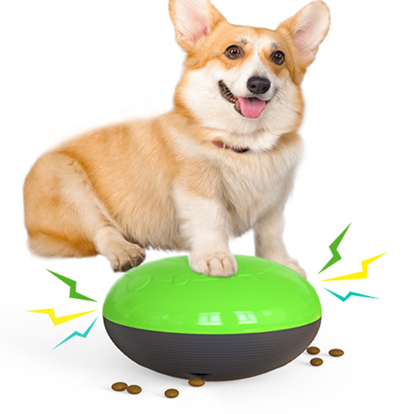 SmartDisk - Il Distributore di Crocchette Interattivo