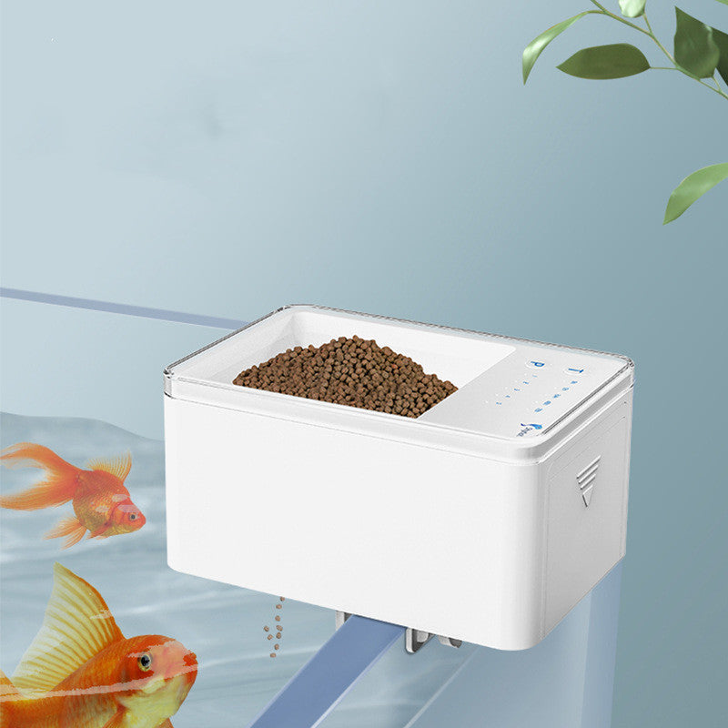 Alimentatore per pesci - DailyFeeder