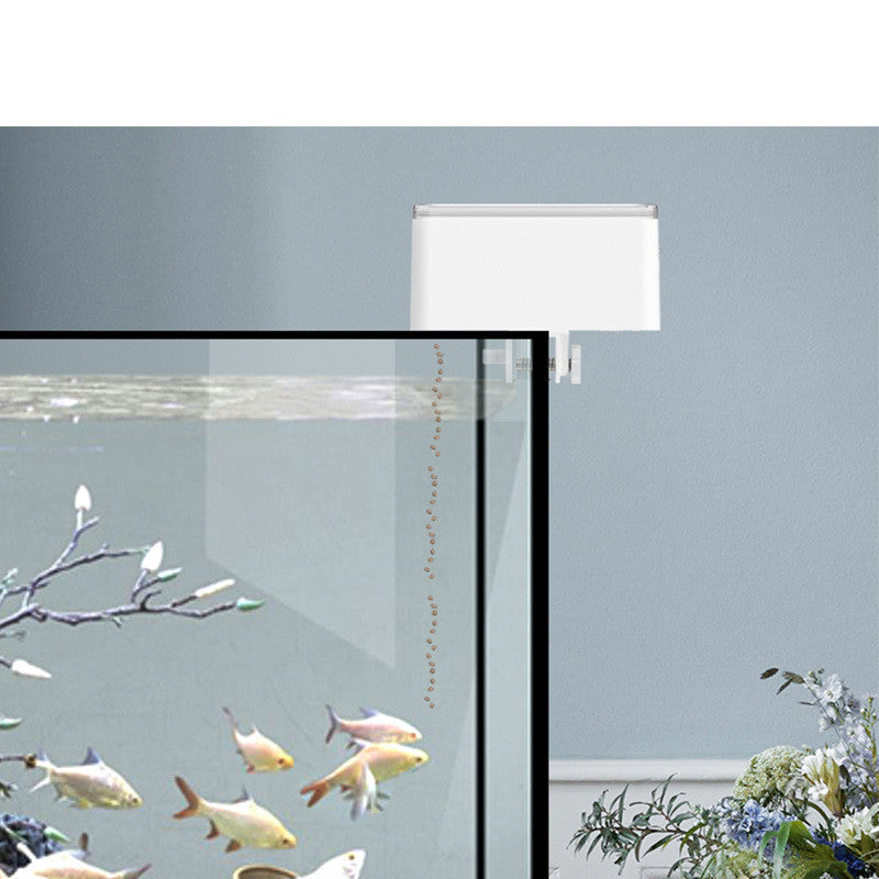 Alimentatore per pesci - DailyFeeder