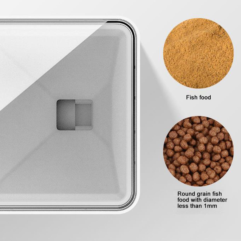 Alimentatore per pesci - DailyFeeder