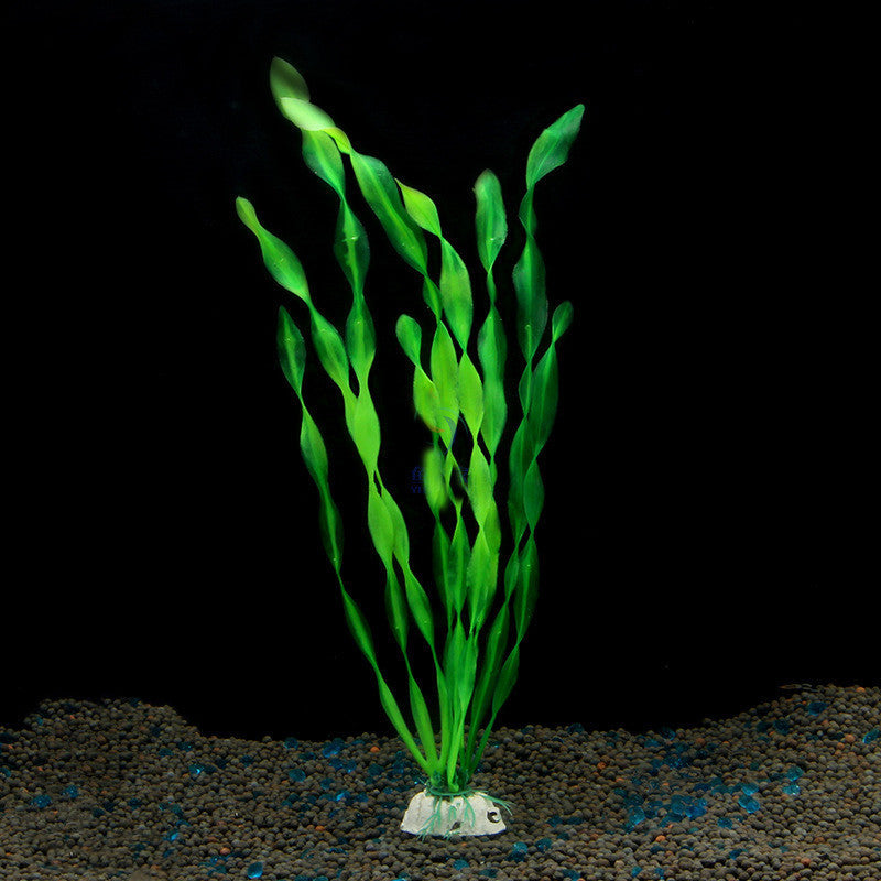 SpiralGrass - Alghe a Nastro Verde Neon