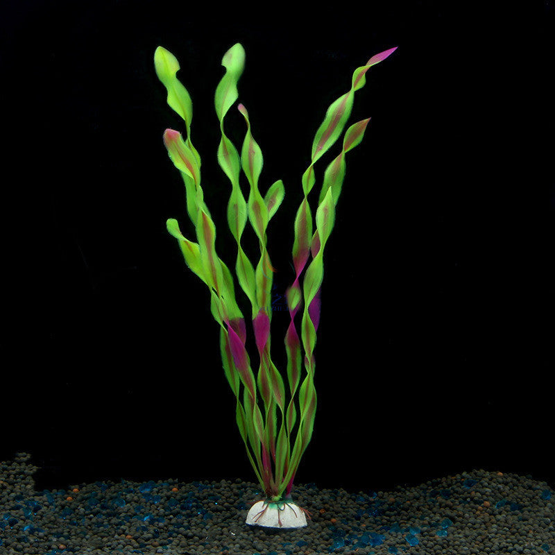 SpiralGrass - Alghe a Nastro Verde Neon