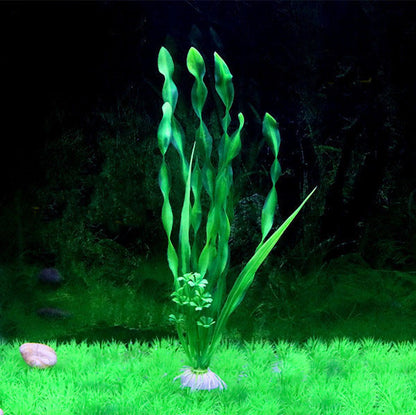 SpiralGrass - Alghe a Nastro Verde Neon