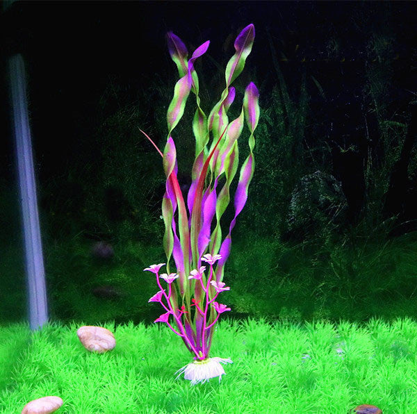 SpiralGrass - Alghe a Nastro Verde Neon