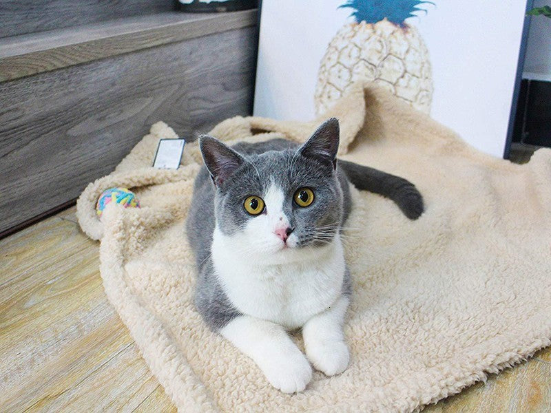 Stuoia in Peluche per Aria Condizionata
