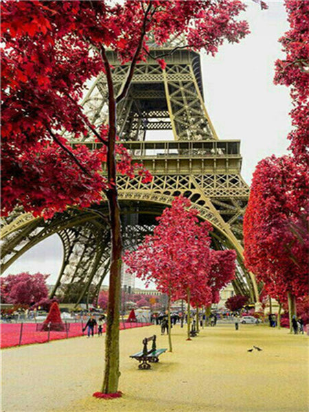 Nature Landscapes - Collezione Paesaggi Naturali 5D