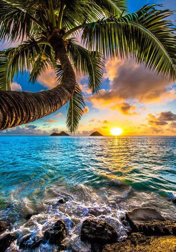 Nature Landscapes - Collezione Paesaggi Naturali 5D