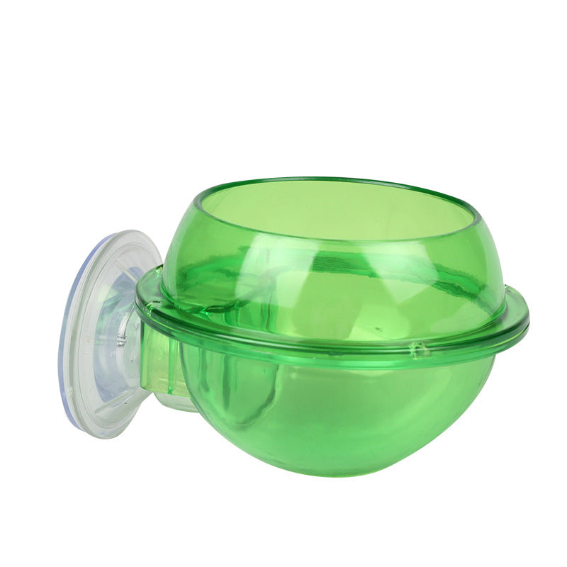 Vaso Design per Piante Acquatiche