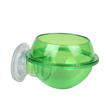 Vaso Design per Piante Acquatiche