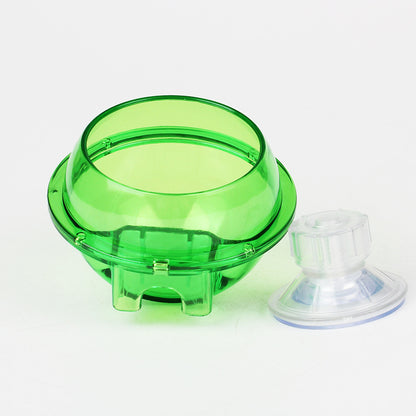 Vaso Design per Piante Acquatiche