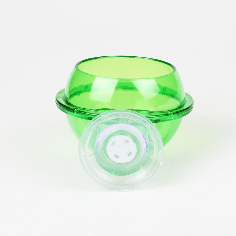 Vaso Design per Piante Acquatiche