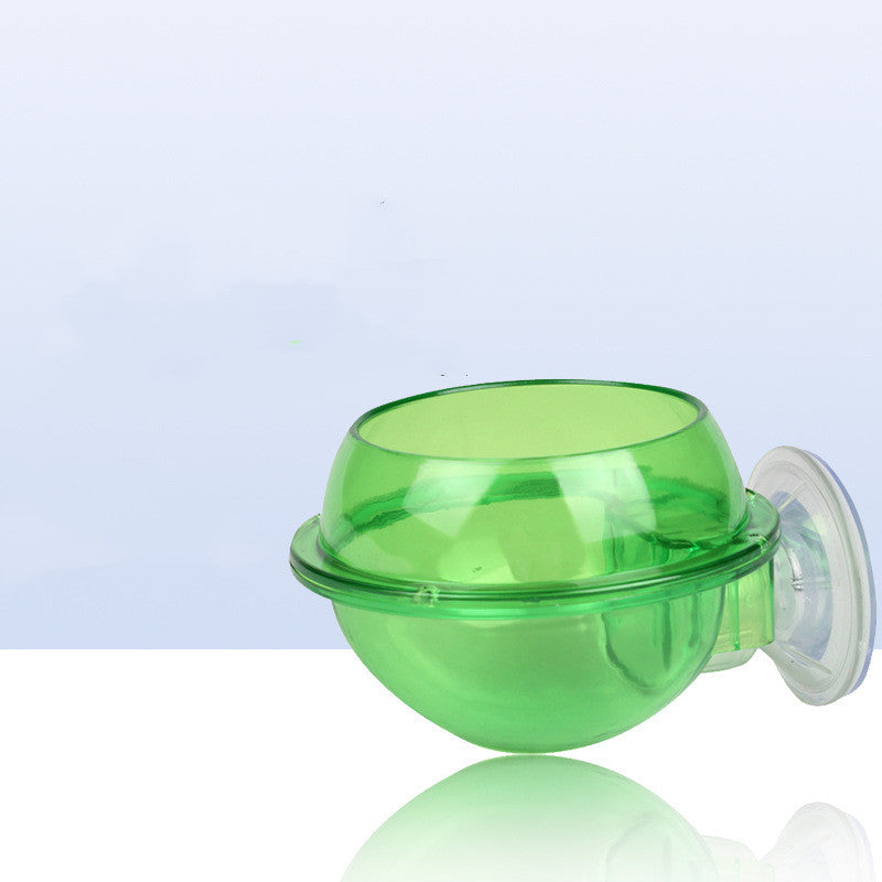 Vaso Design per Piante Acquatiche