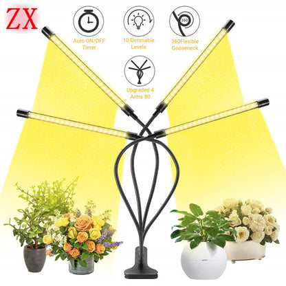 Lampada LED per Crescita Indoor