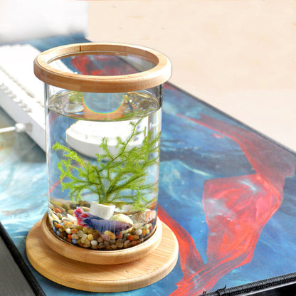 BambooTube - Nano Acquario Cilindrico con Finiture in Legno