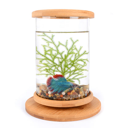 BambooTube - Nano Acquario Cilindrico con Finiture in Legno