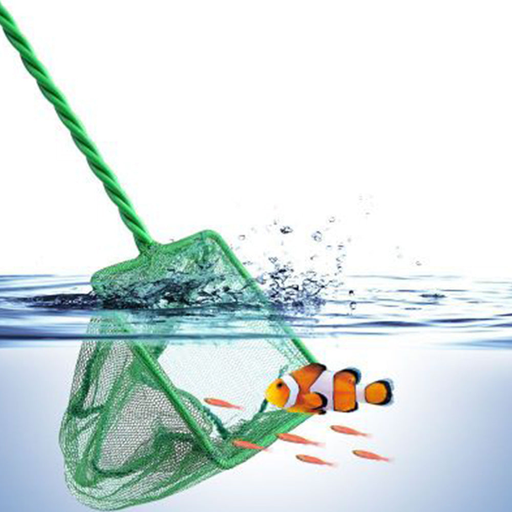 Retino da pesca - PrecisionNet