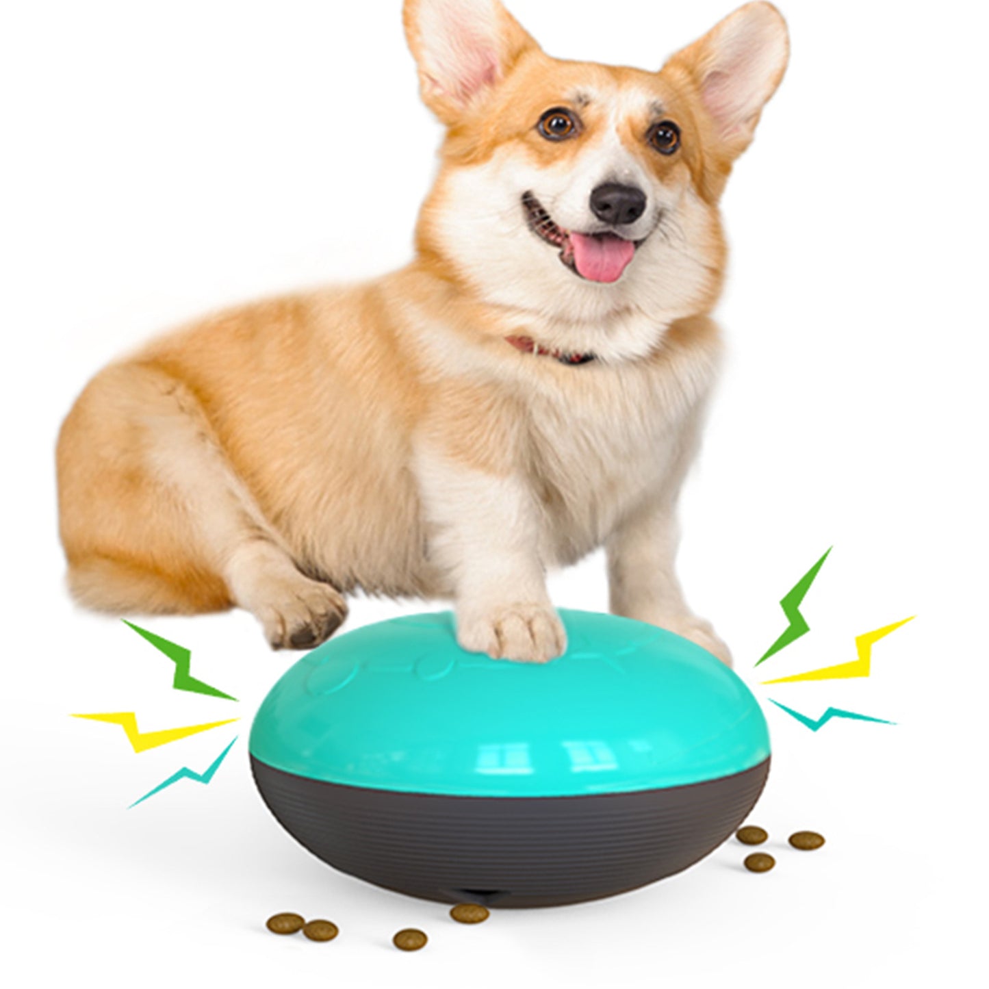 SmartDisk - Il Distributore di Crocchette Interattivo