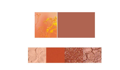 Palette NOVO