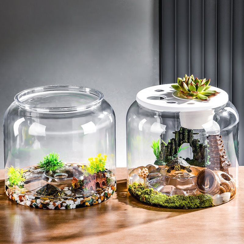 Acquario DeskScape Tank