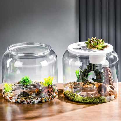 Acquario DeskScape Tank