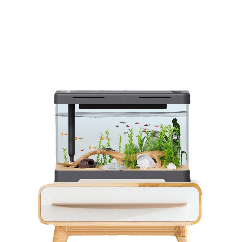 Acquario OpticPoly