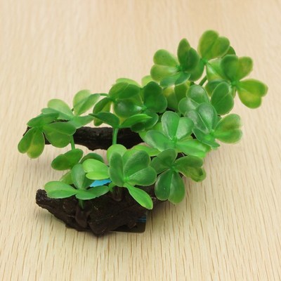 CloverLog - Tronchetto con Quadrifogli Acquatici