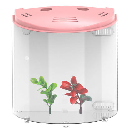 Acquario SakuraCube