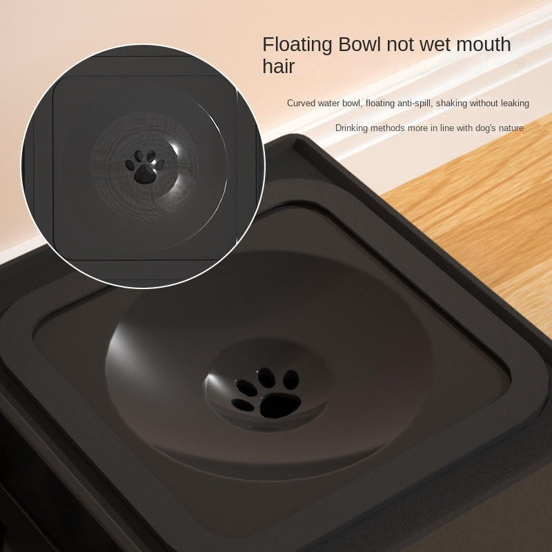 ZenBowl - Ciotole Rialzate