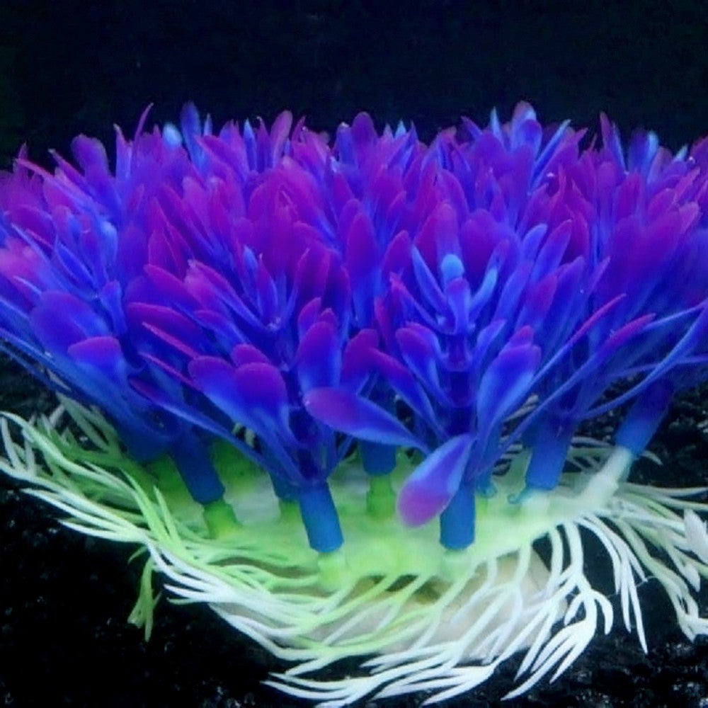 VioletGlow - Cespuglio Corallino Sintetico