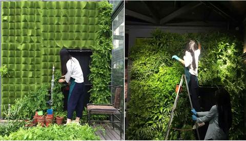 Vertical Garden - Sistema di Semina Professionale