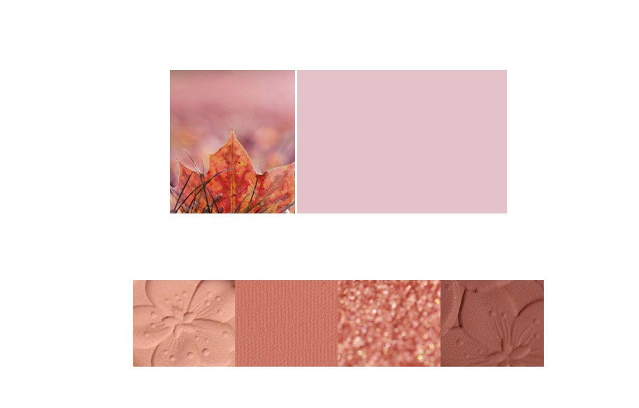 Palette NOVO