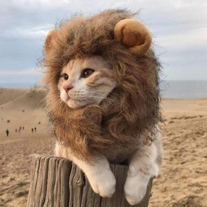 LionMeow - La Criniera da Leone per Gatti