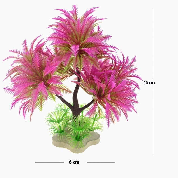 RoyalPalm - Felce Arborea a Tripla Fronda