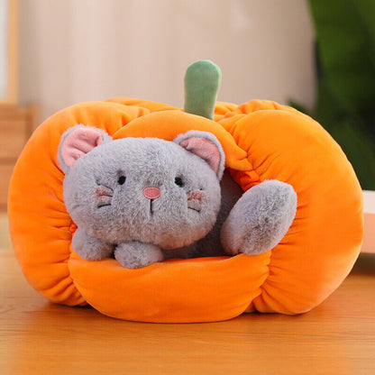 PumpkinNest - La Cuccetta Zucca Interattiva