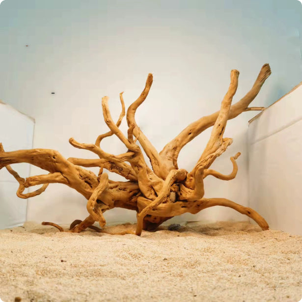 DriftRoot - Radice Naturale Multi-Braccio