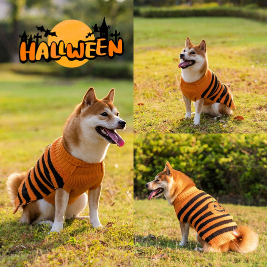 Maglione Halloween Cosplay Relax