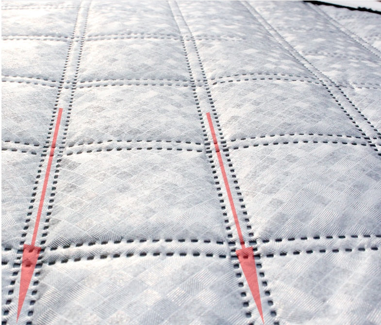 Winter-Guard Telo Parabrezza Anti-Gelo e Neve