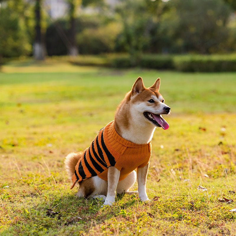 Maglione Halloween Cosplay Relax