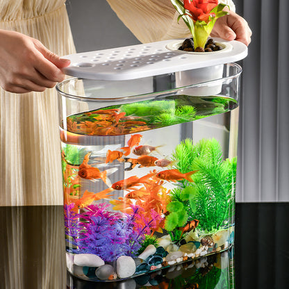 HydroSky - Nano Acquario Idroponico