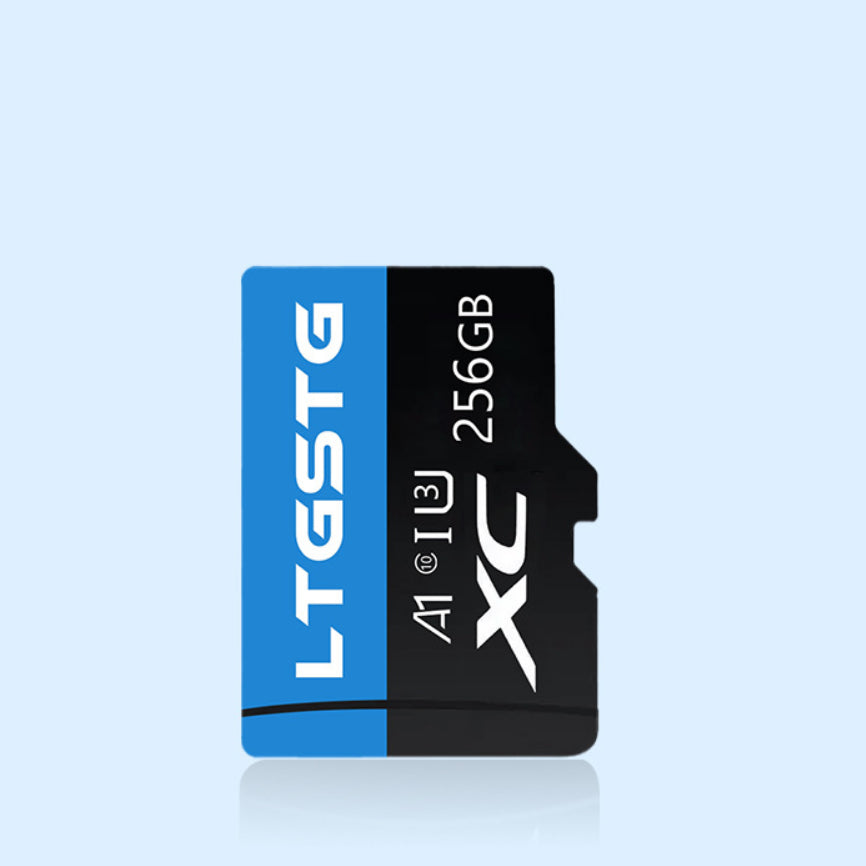 Scheda di Memoria High-Speed LTGSTG