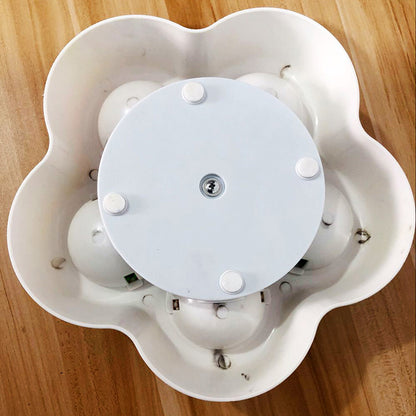BrainyPet - Il Puzzle Dispenser per la Ricerca Cibo