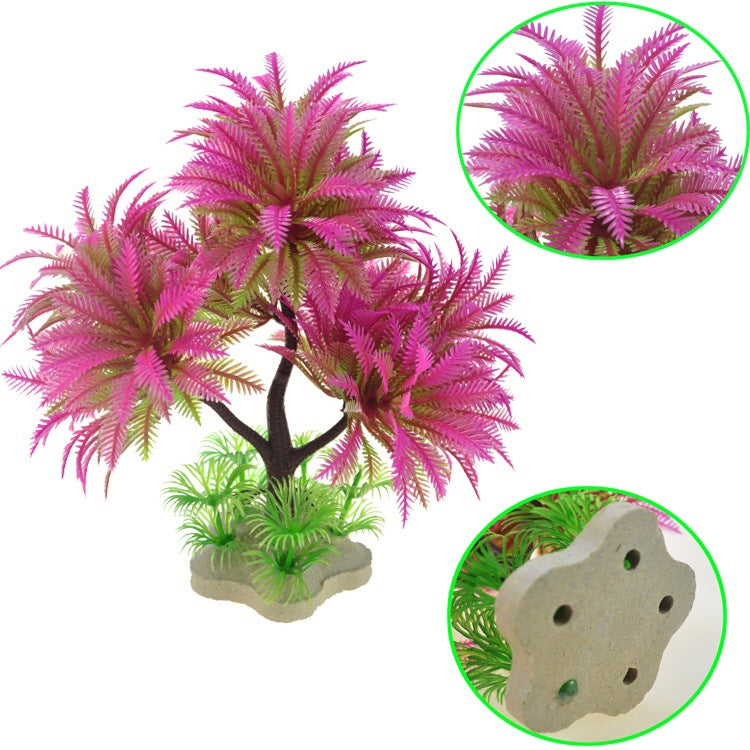 RoyalPalm - Felce Arborea a Tripla Fronda