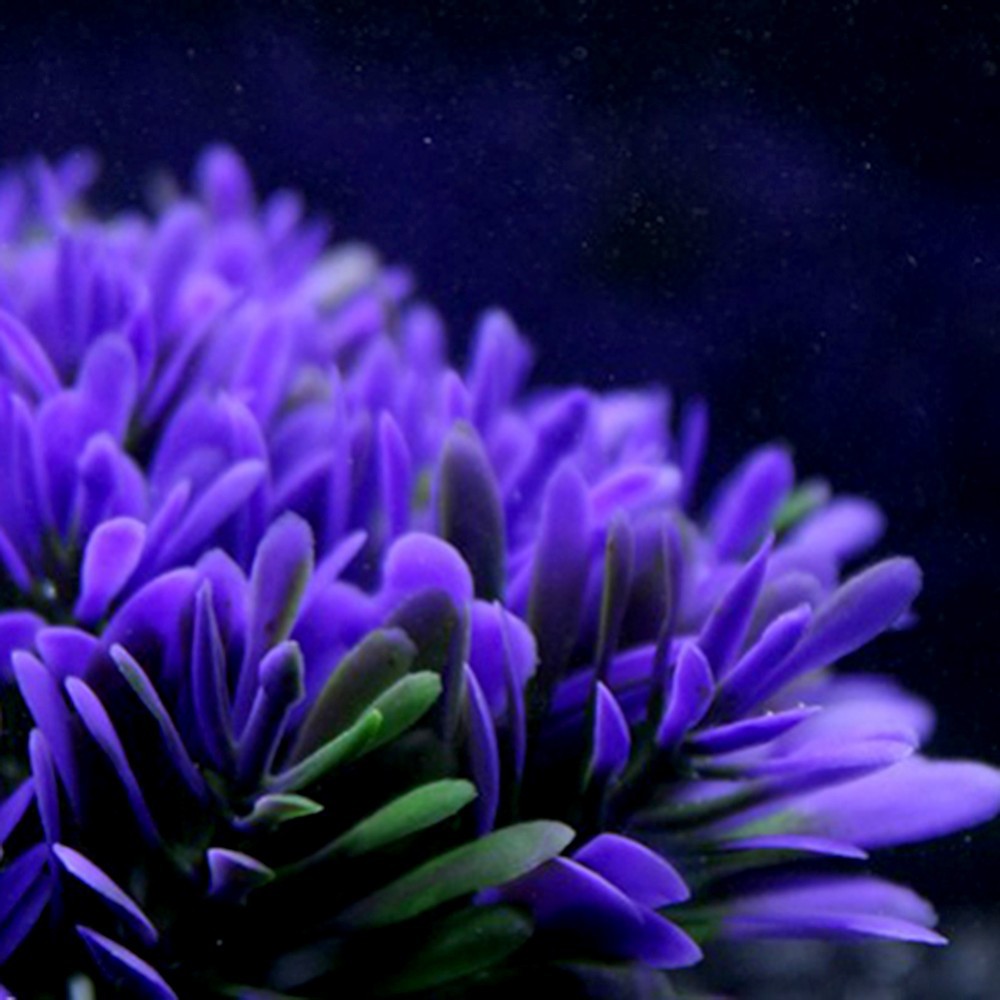 VioletGlow - Cespuglio Corallino Sintetico