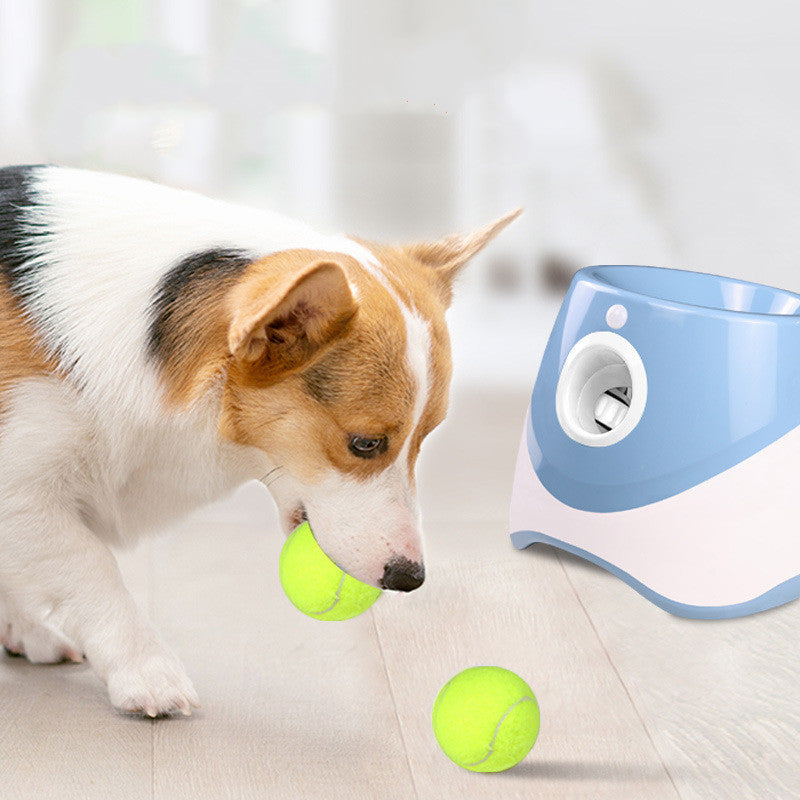 TurboFetch - Lanciatore Automatico di Palline Pro